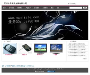 深圳電子公司網(wǎng)站案例