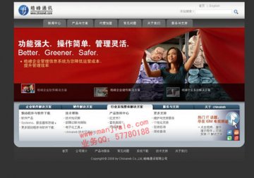 網(wǎng)站成功案例